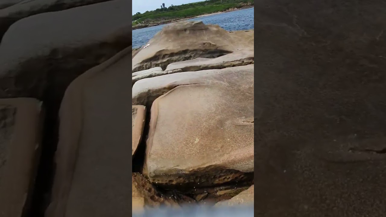 Beautiful nature at Malabar Beach Sydney NSW