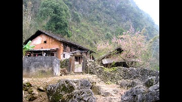 Tết của người H