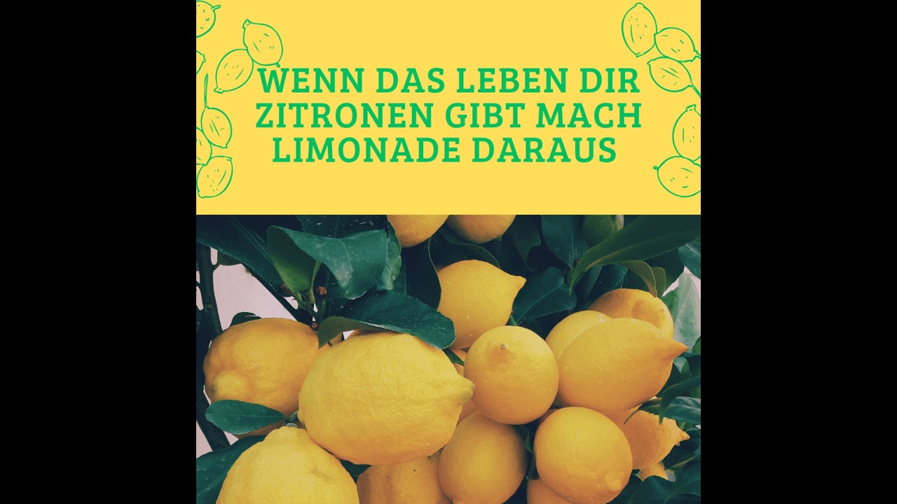 Die Antwort finde ich in mir