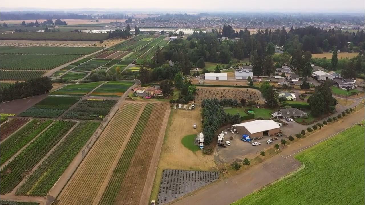 Lake Labish Keizer Oregon YouTube