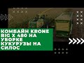 Работа комбайна KRONE BiG X 480 на уборке кукурузы на силос в ОАО "Спорово".