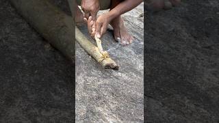 Starting A Fire With Fire Wood