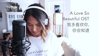 A love so beautiful OST - I like you so much You'll know it (cover)