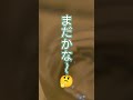 まだかな〜🤔 #お昼ご飯 #shorts #shortvideo #ランチ #まだかな〜