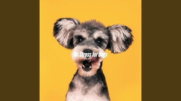 Pulsating Backdrops for Creativity in Fall