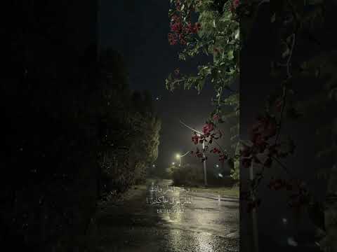 تصميم شيله وتحب المطر وانت المطر ينزل يحاكيك وتحب العطر وانت العطر منك ومنبعك حالات واتساب قصيره