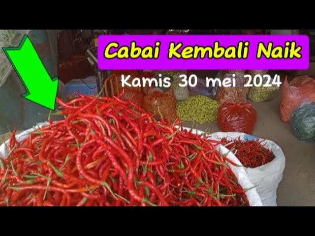 Harga sayur dan bawang serta cabai hari ini kembali merangkak naik dipasar induk sukomoro class=