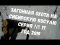 СЕРИЯ № 17. Охота на косулю!!! Шикарный выстрел!!!