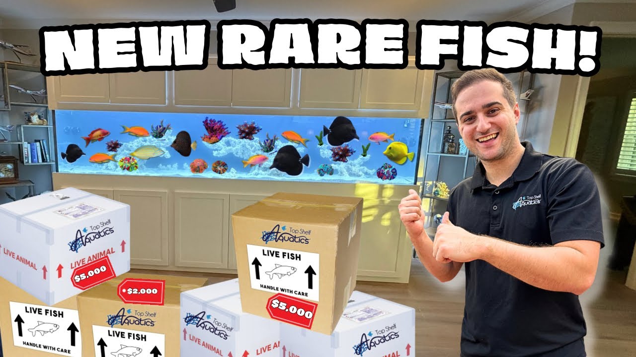 DELIVERING $12,000 IN RARE FISH!!