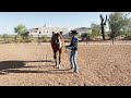 Jami Rodriguez & Lazy Butt Perfect, June Summer Series 2024, Class 9: Showmanship W/J All Ages