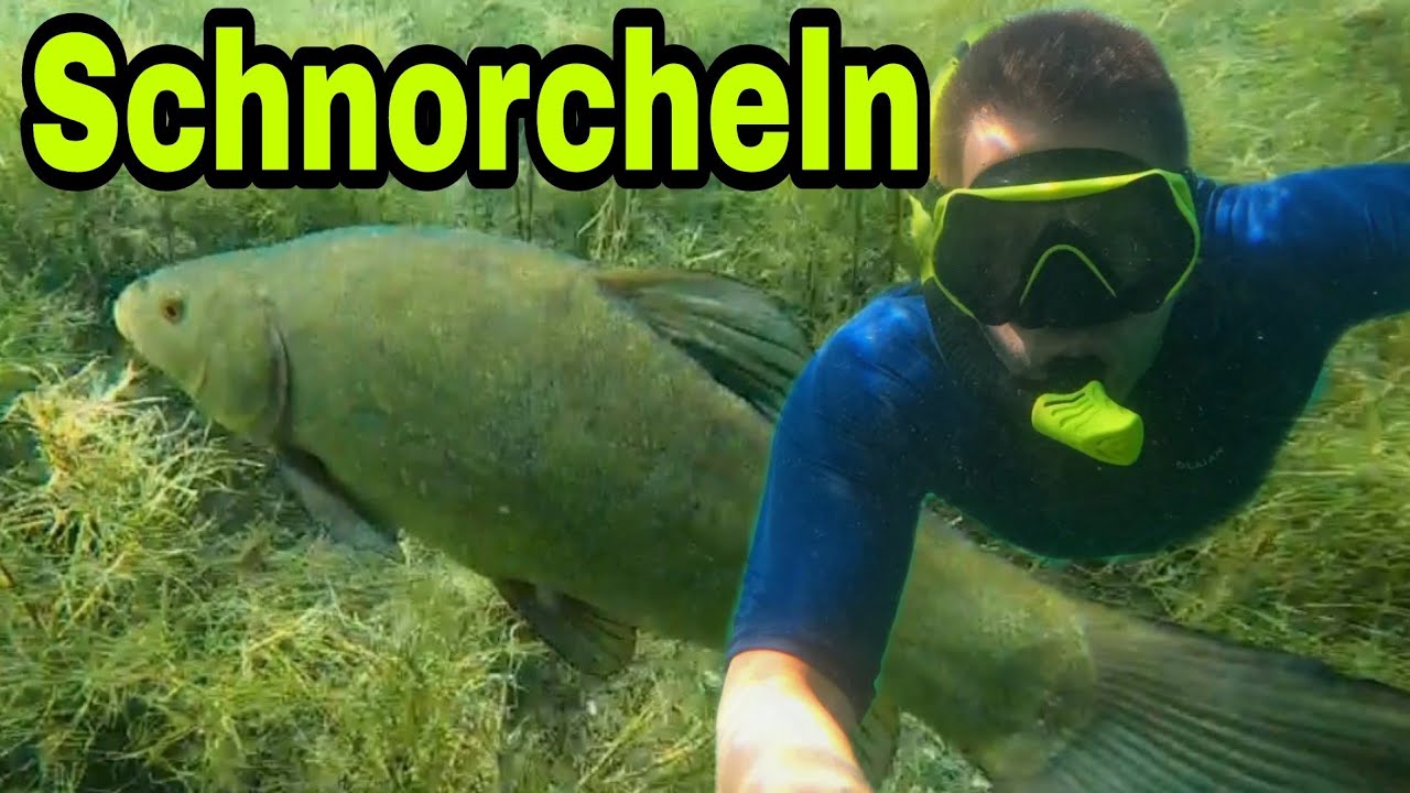 Schnorcheln,Fische & Sonnenschein