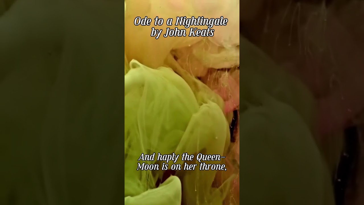 Poetic melody: embrace positivity & love 