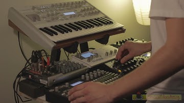 The Cottage - Studio Performance (Analog 4 / Octatrack / Virus TI / Minitaur)