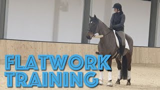 Flatwork Training // NEW INDOOR ARENA
