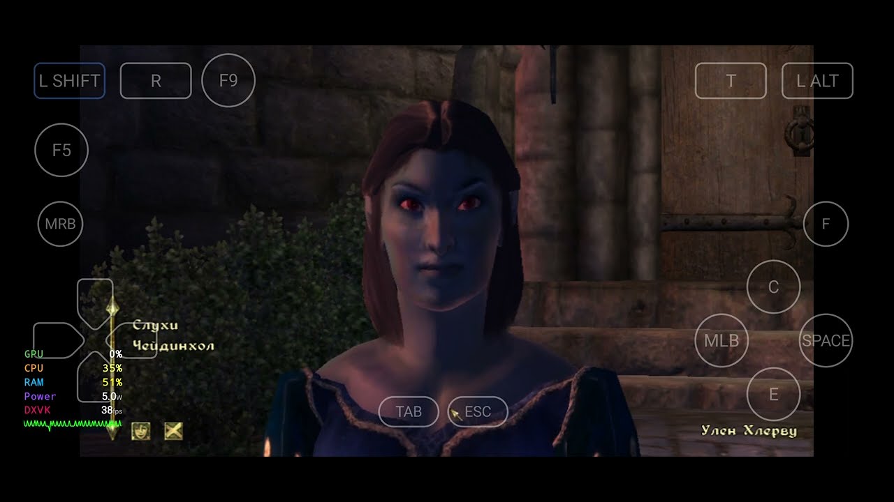 Tes 4 oblivion on android (samsung s 24+) winlator bionic
