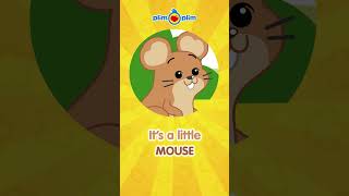Let's PLAY: Guess the animal! We'll give you 3 clues!  #guesstheanimal #shortskids #plimplim