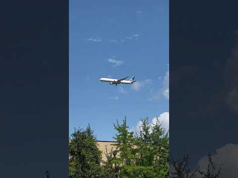 United Airlines Boeing 767-400ER Arriving Dulles Airport #shorts #planespotting #boeing