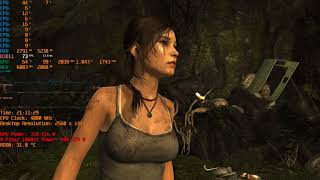 Tomb Raider 2013 i7 6400T L501C679 1080Ti 2560x1440 MAX