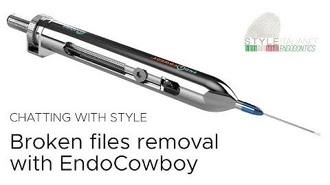 Endo Cowboy   Chatting with Style