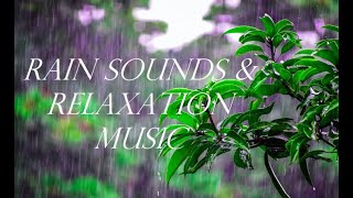 RAIN SOUNDS & RELAXATION MUSIC - Sleep Soothing Peaceful Instrumental Spa 7 Hrs PLEASE SUBSCRIBE