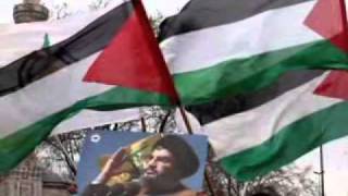 Amel Mathlouthi-Naci en Palestine-İstanbul