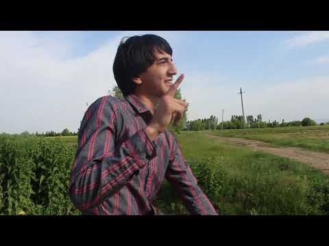 Video: Çində kənd təsərrüfatı nə vaxt başladı?