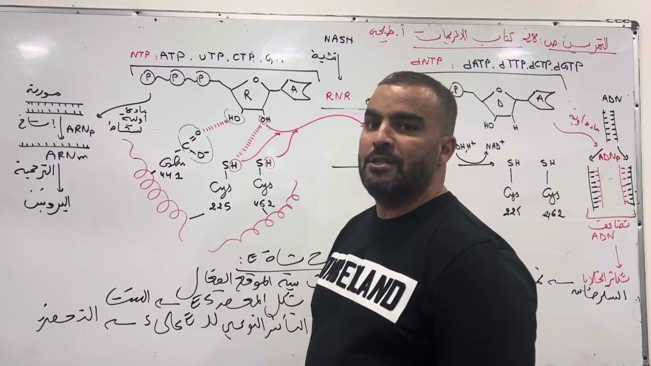 تمرين انزيمات انزيم RNR بكالوريا علوم الطبيعة والحياة