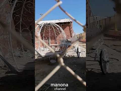 لقيت عربة سندريلا لو العربة دي في ايدي هخليها عربة الأحلام Shorts