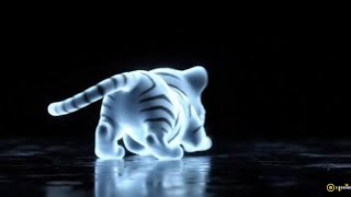 Calming Animal Hologram Experience with Soft Relaxing Music screenshot 1