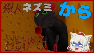 [ロブロックス] 殺人ネズミ🐭から逃げながらチーズ🧀を集めて迷路から逃げろ！ [cheese Escape Horror/チーズエスケープホラー] screenshot 2