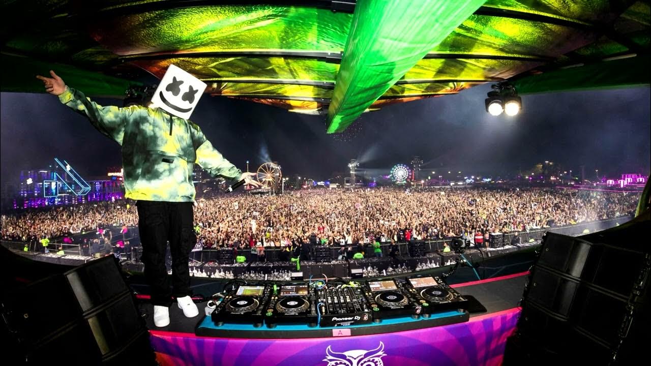 Better Off Alone x There 4 You x Levels x Check This Out x