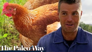 The Paleo Way S01 E07 | Healthy Recipes | Diet Show Full Episodes screenshot 5