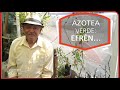 Azotea verde: Efrén...