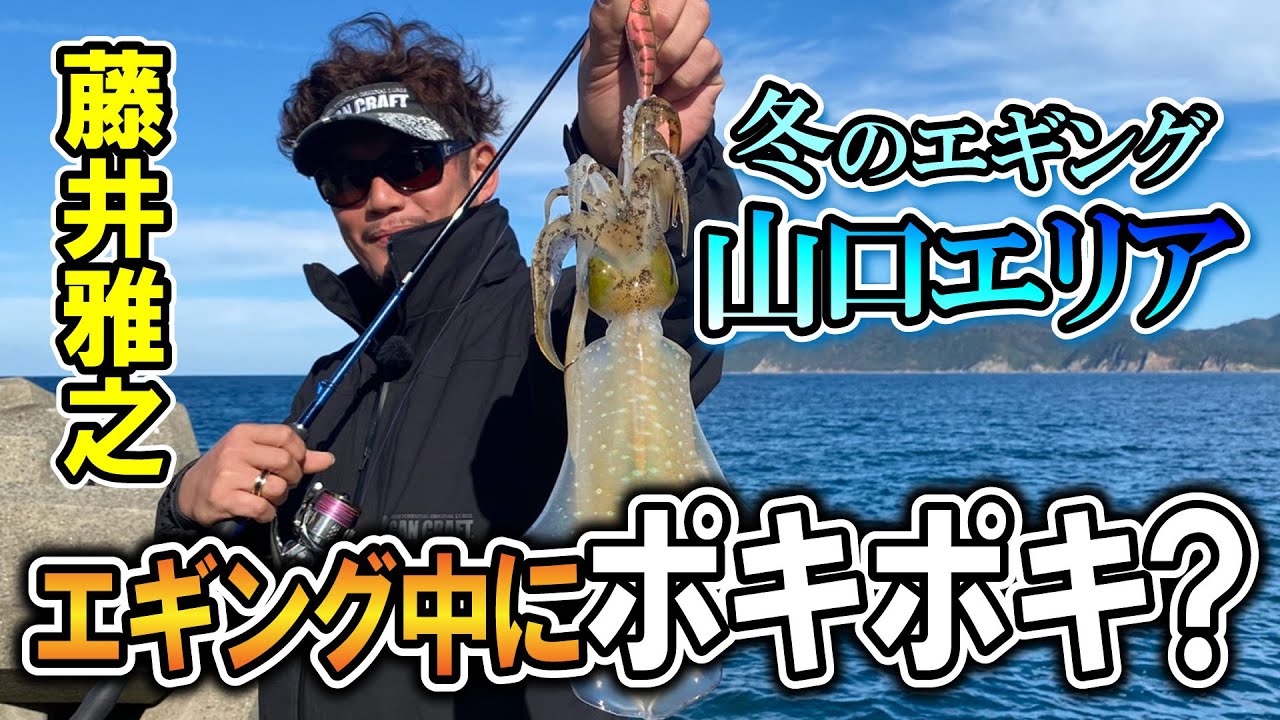 22年 最新 エギング 釣りたいならこれを見ろ ポキポキ Youtube