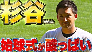 【オレンジ色から】杉谷拳士さん『始球式が酸っぱい…想像以上に酸っぱい』【黄色に大変身】