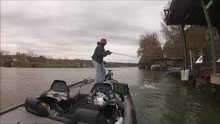 Swimbait Underground Nov 2019
