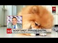 Alerta por "Adoptimo": descubren fraude con falsas adopciones de mascotas en Facebook