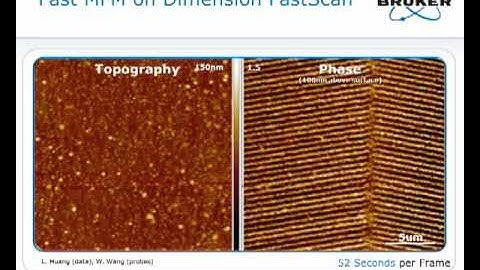 High Speed MFM on Bruker