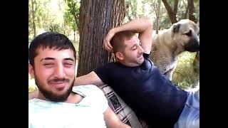 Veysel Doğan Belalı Kader
