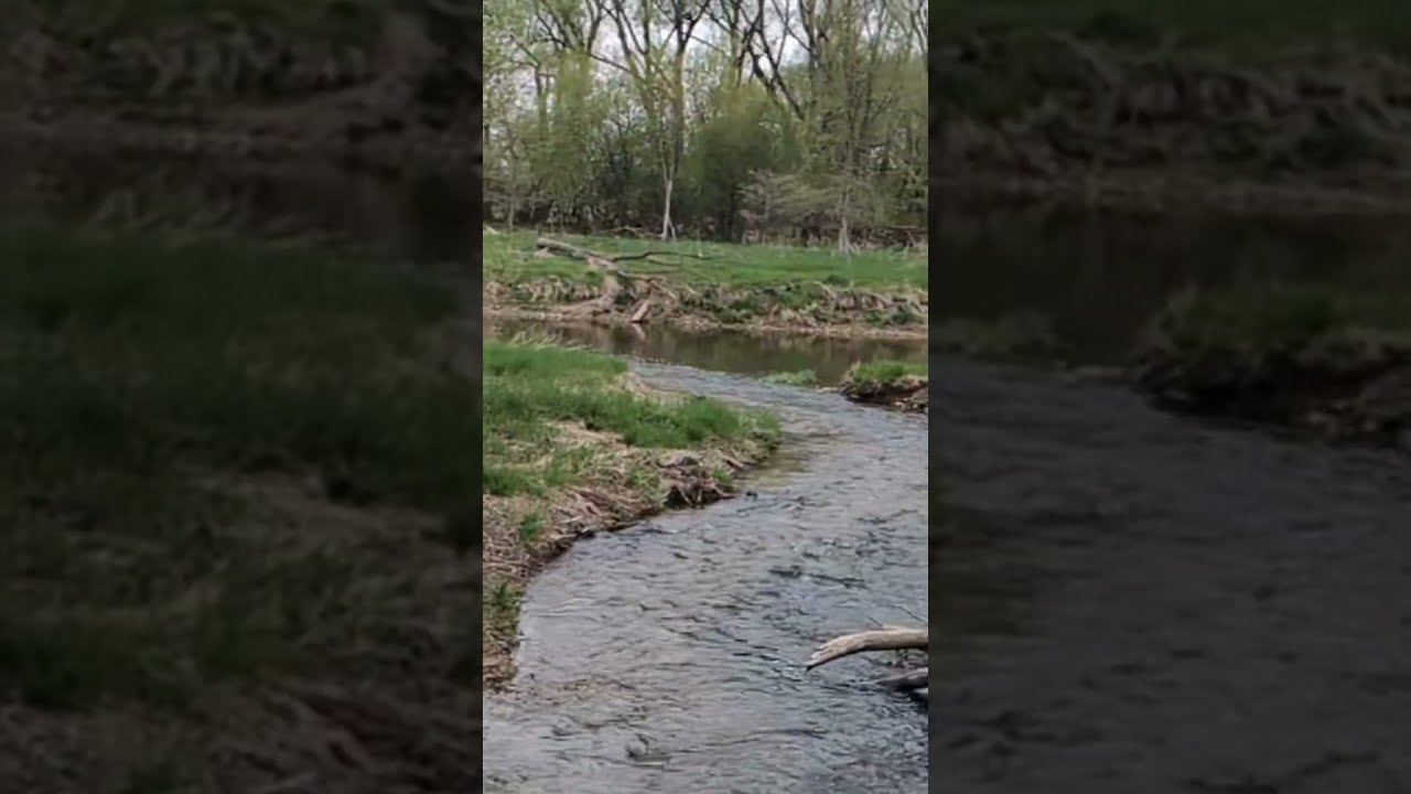 A Conestogo River tributary creek near confluence viewed from Health Valley trail near Waterloo ONT.