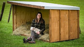 Building Livestock Shelters | Lambing Has Started!