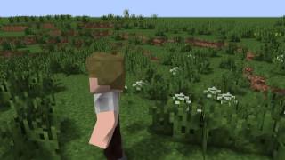 Creeper Bomb Minecraft Animation Mine-Imator