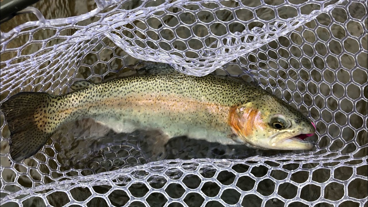 PA Trout Fishing 2022 Keystone Select Waters YouTube