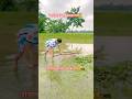 ভিডিওটা না দেখলে মিস করবেন⚽❤️‍🩹💪#trending #youtubeshorts #viralvideo #football #soccer...
