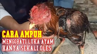 obat kurap ayam paling ampuh,,. 