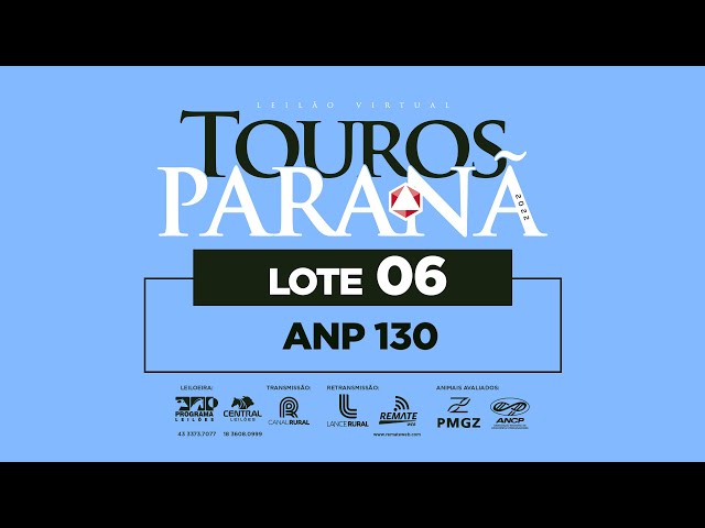 LOTE 6 ANP 130