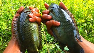 The sadistic fight of the fish here!!! fishing in a swamp that is still very natural