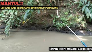 DI LUAR DUGAAN.!! MANCING DI SELOKAN AIR KERUH || IKANNYA GANAS² BABONNYA NAIK JUGA BRO