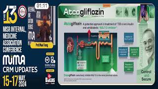 Atco Symposium Gliflozin Diabetes - Prof. Dr. Wael Farag