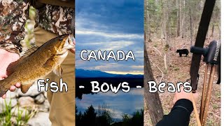 Traditional Bow Hunt | Bear | Fly Fishing - 05/24